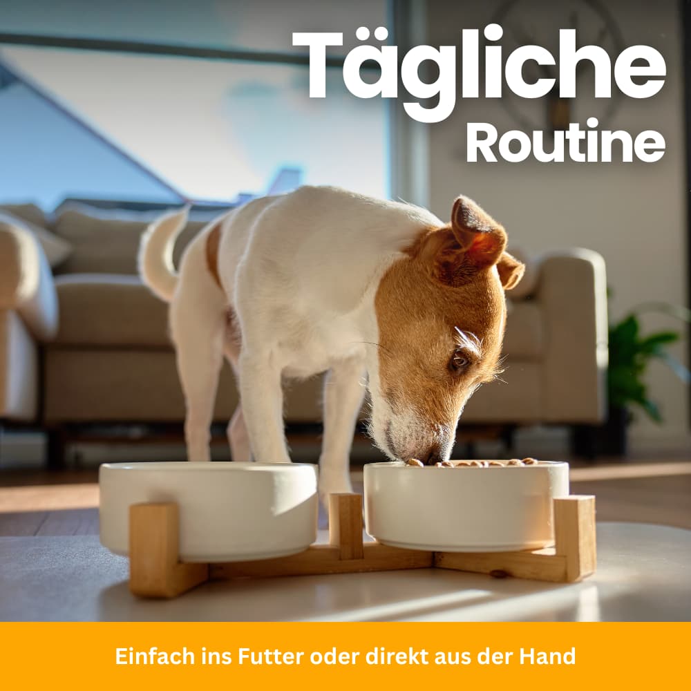 Floh- & Zeckenschutz Kautabletten