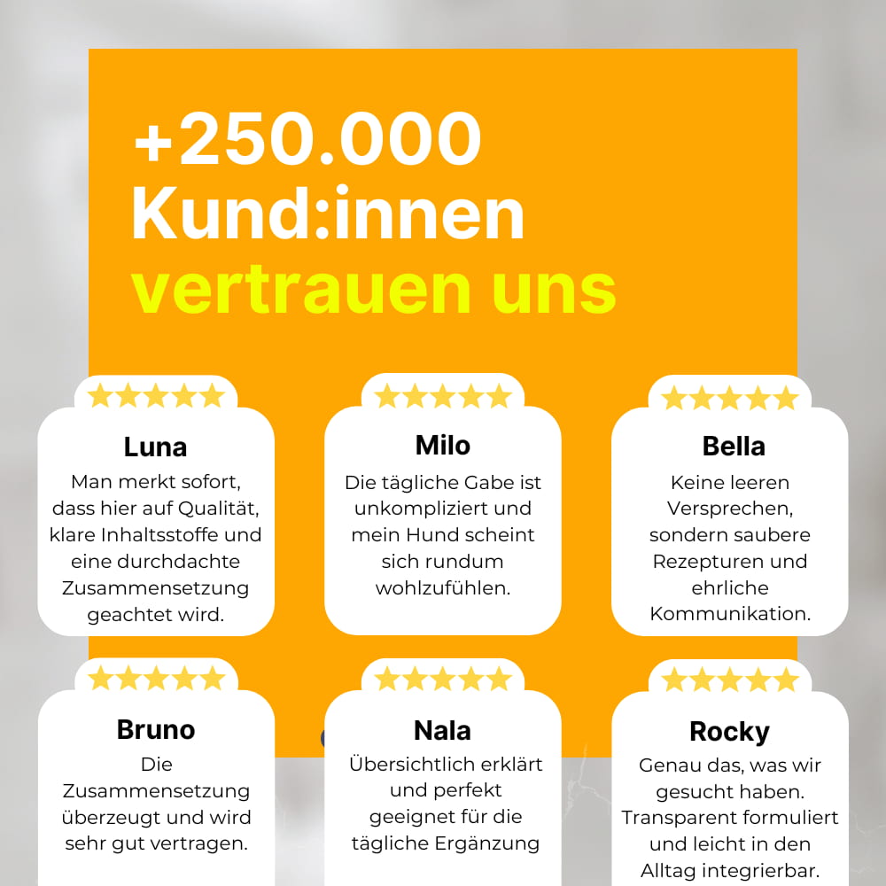 Allergy & Itch Relief Chew Snacks for Dogs