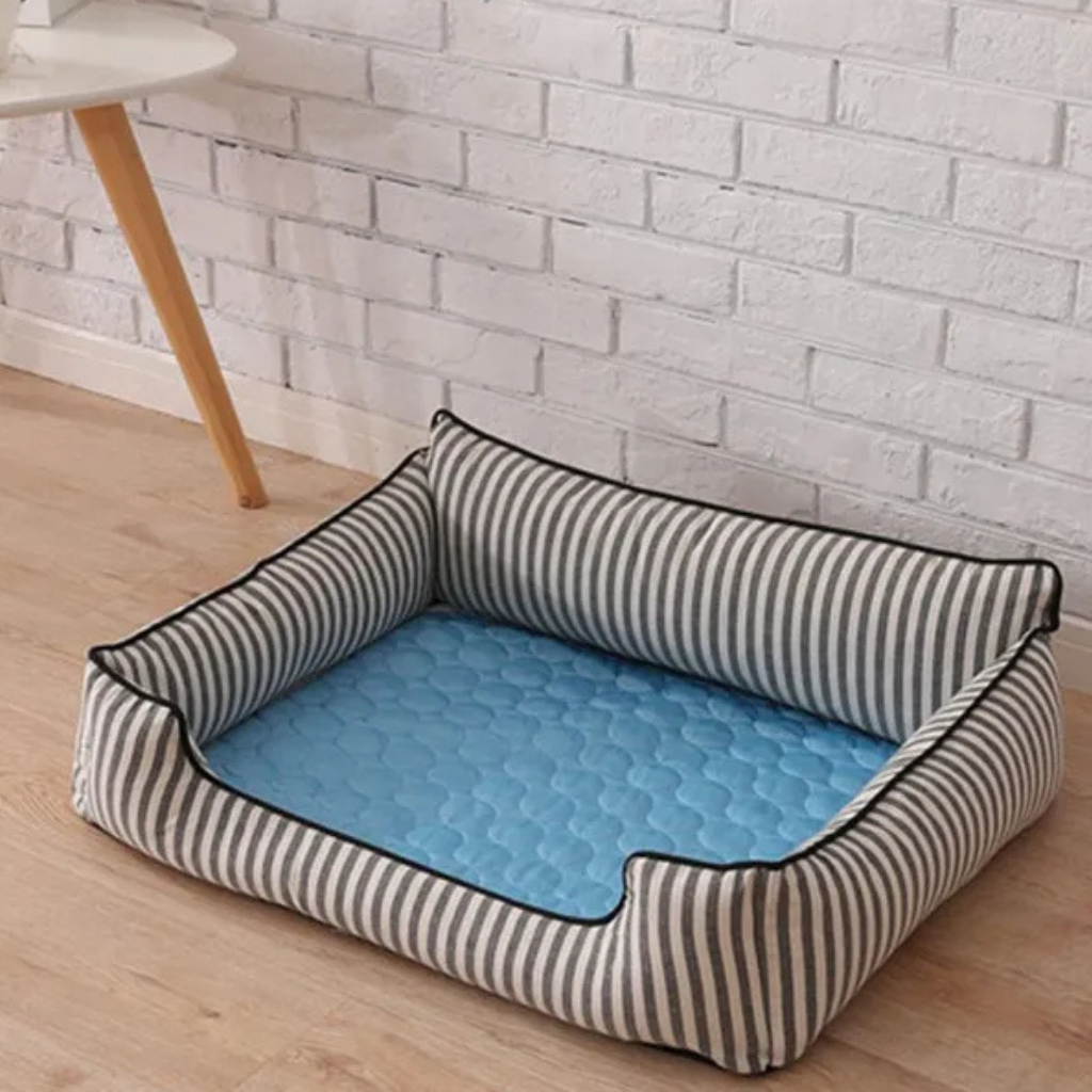 Premium Kühlmatte für Hunde