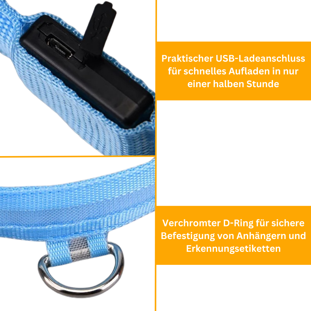 LED Leuchthalsband