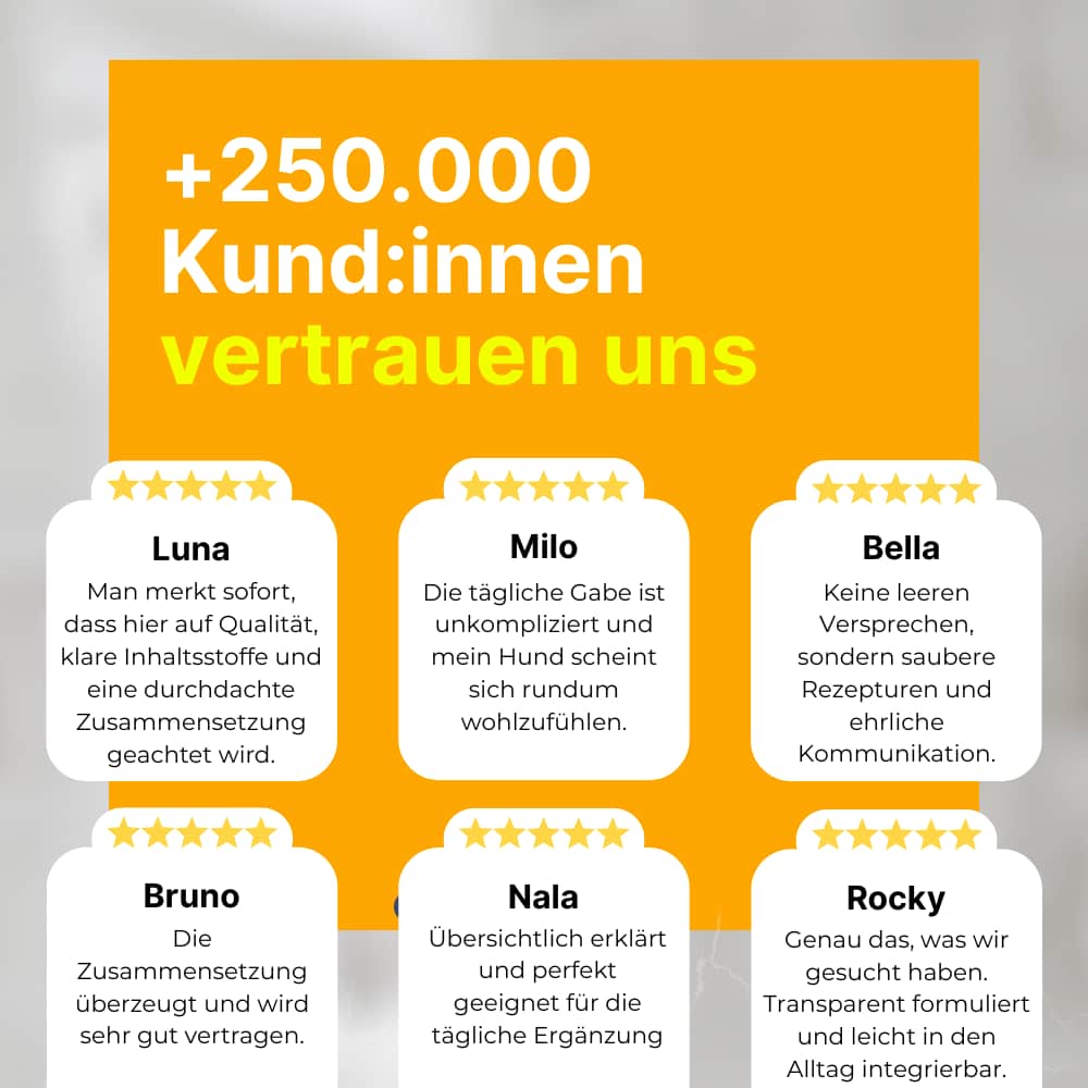 Joint Chews for Dogs with Glucosamine