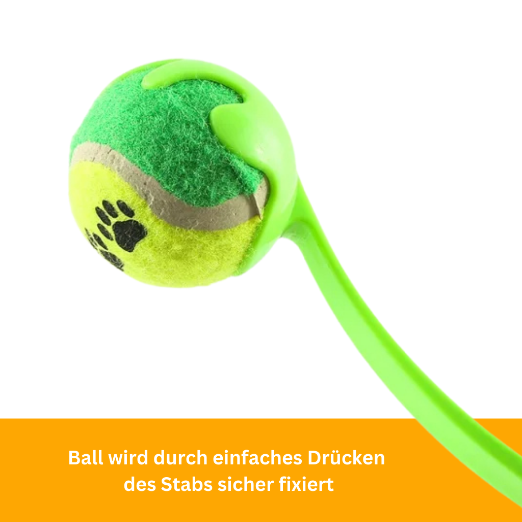 FetchMaster Handballwerfer