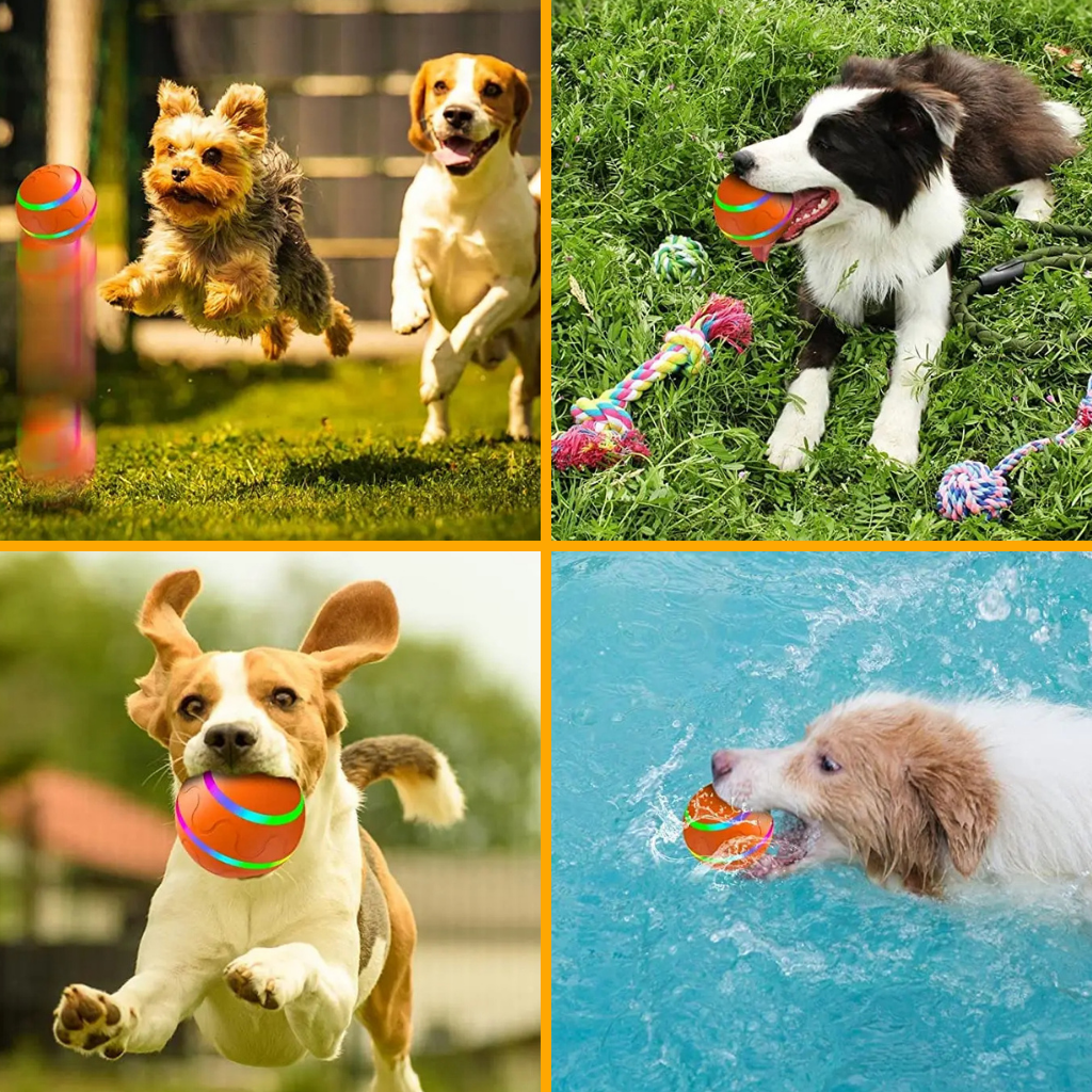 Aktiver rollender Ball für Hunde