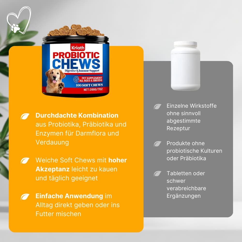Probiotic Soft Chews for Dogs – Gut & Digestive Health