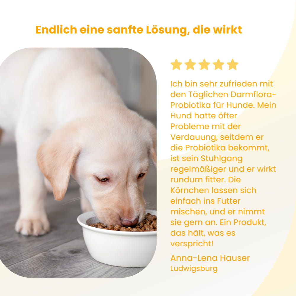 Daily Gut Flora Probiotics For Dogs