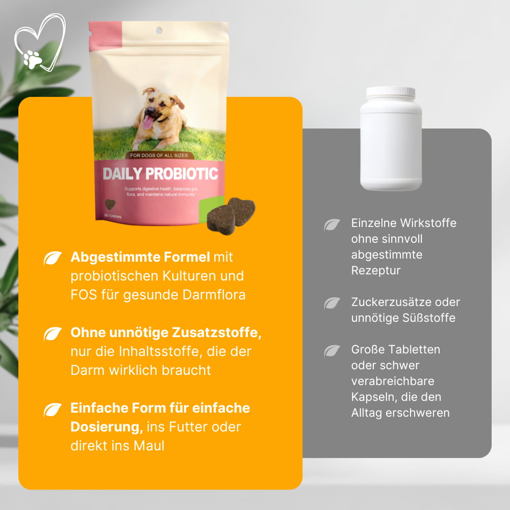 Daily Gut Flora Probiotics For Dogs