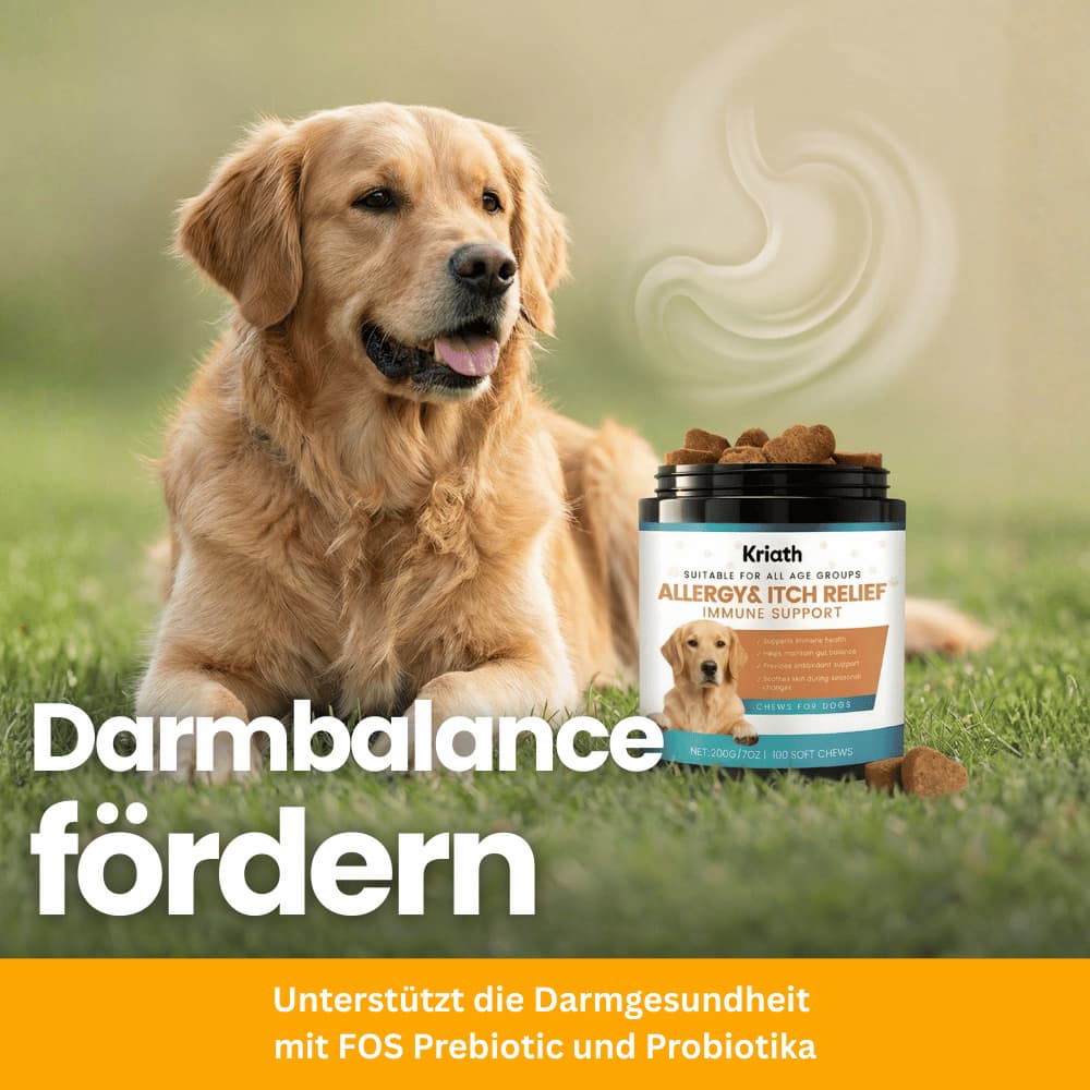 Allergy & Itch Relief Chew Snacks for Dogs