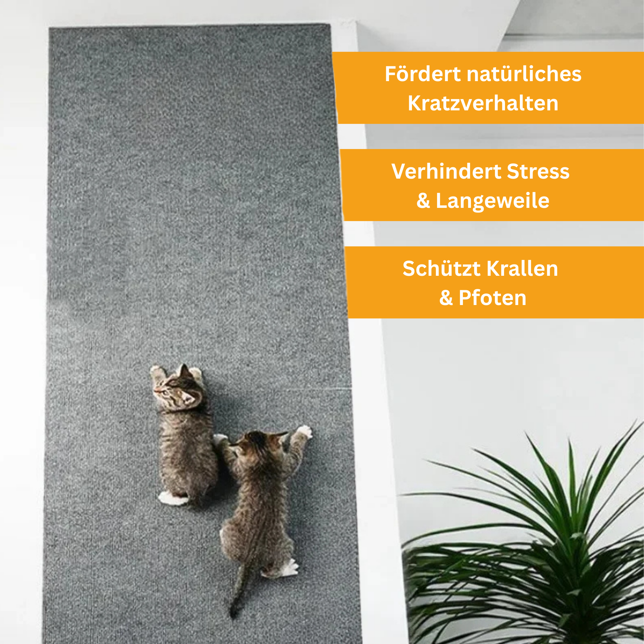 Universeller Katzen Kratzschutz