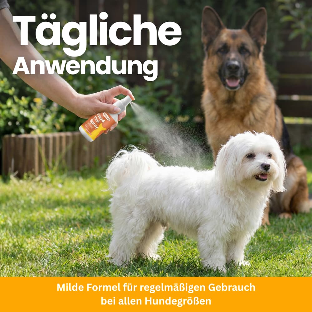 FellGuard Floh- & Zeckenspray