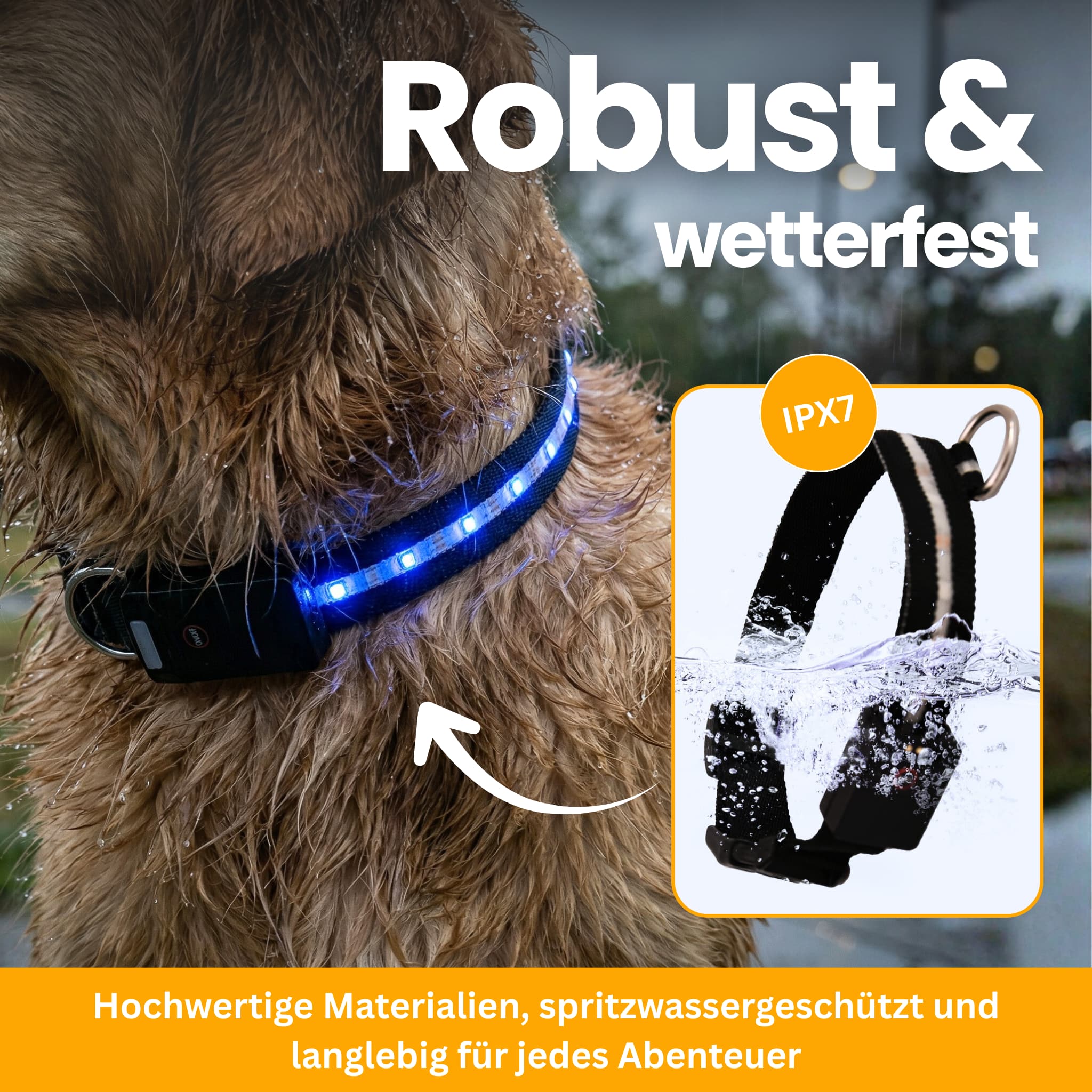 LED Light-Up Collar Pro