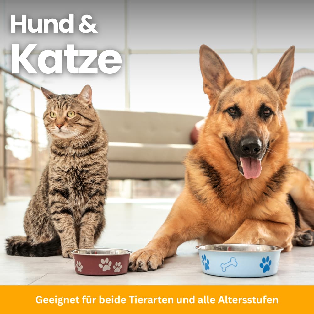 Harnweg-Pflege Tropfen für Hund & Katze