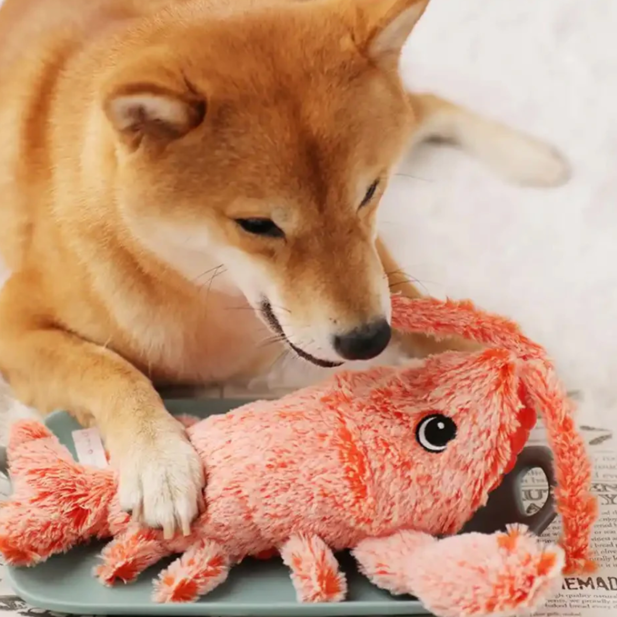 Wobbly Lobster – Interactive Dog Toy