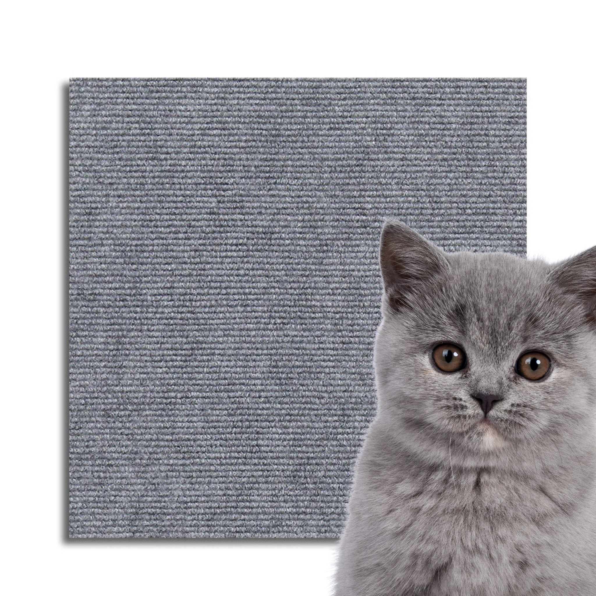 Universeller Katzen Kratzschutz