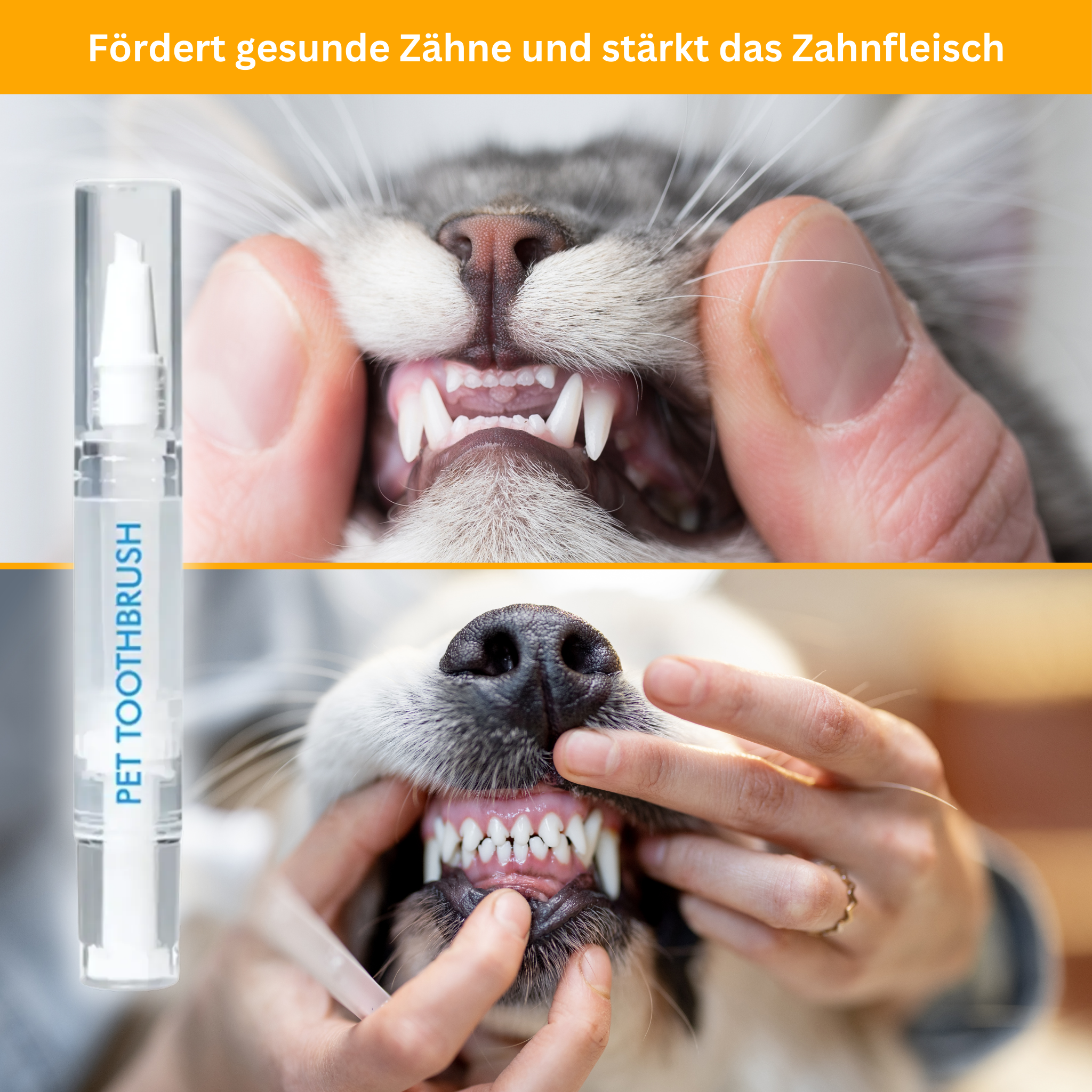Zahnpflege-Stift für Haustiere