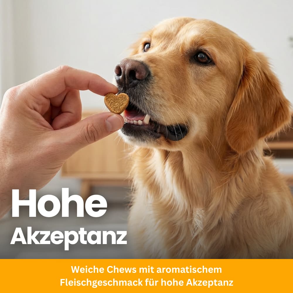 Probiotic Soft Chews for Dogs – Gut & Digestive Health