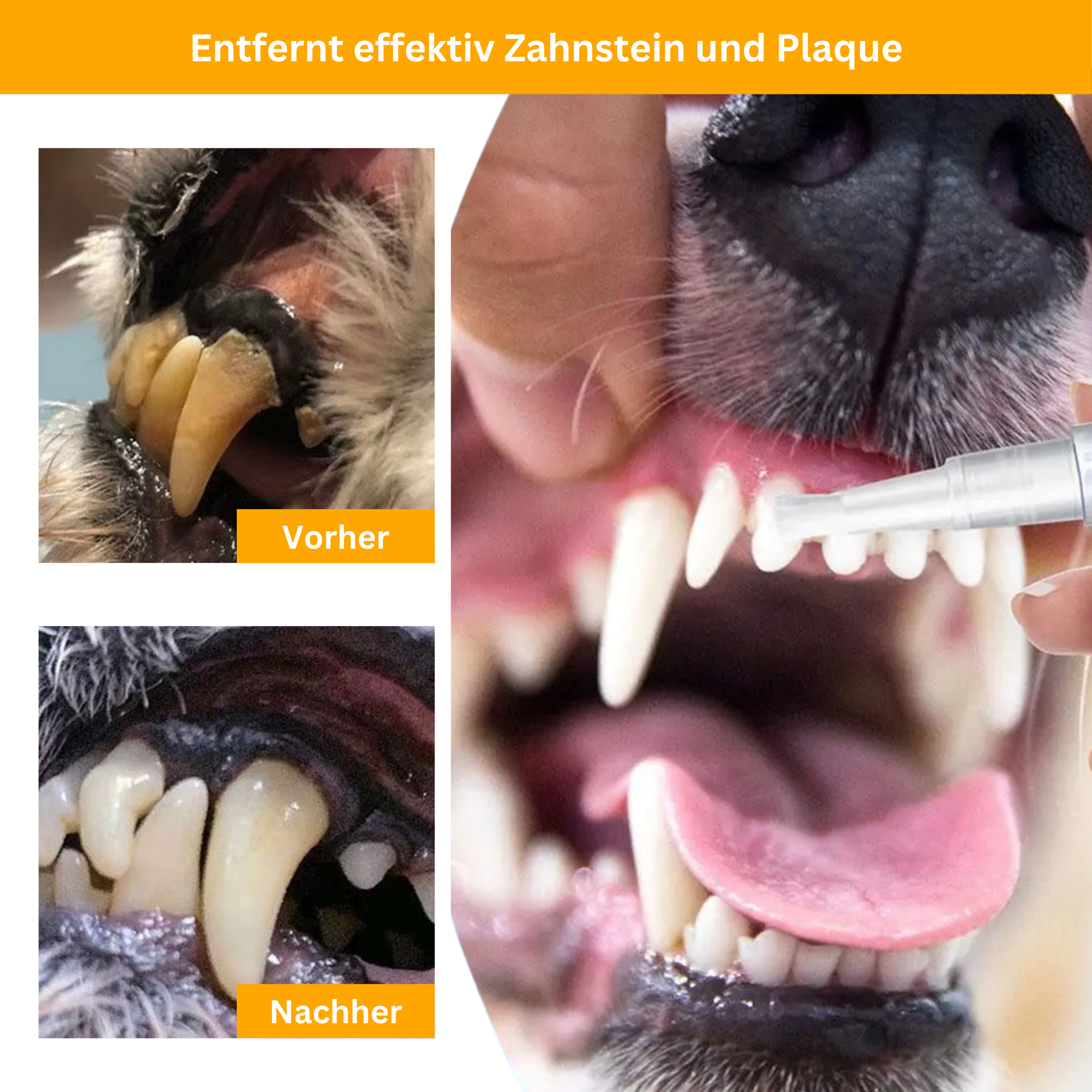 Zahnpflege-Stift für Haustiere