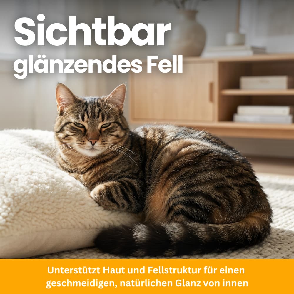 Cat Nutrient Powder for Coat & Skin