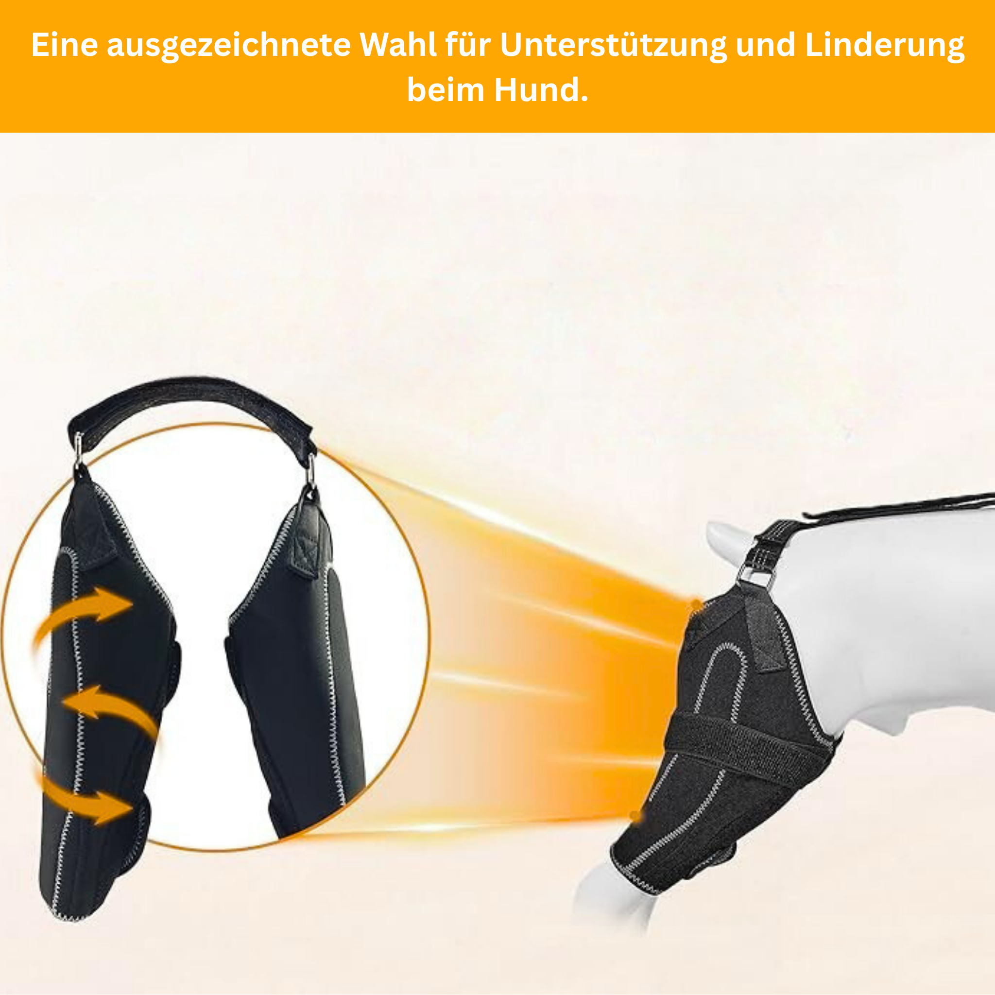 DualBrace – Beinorthese mit Scharniergelenk