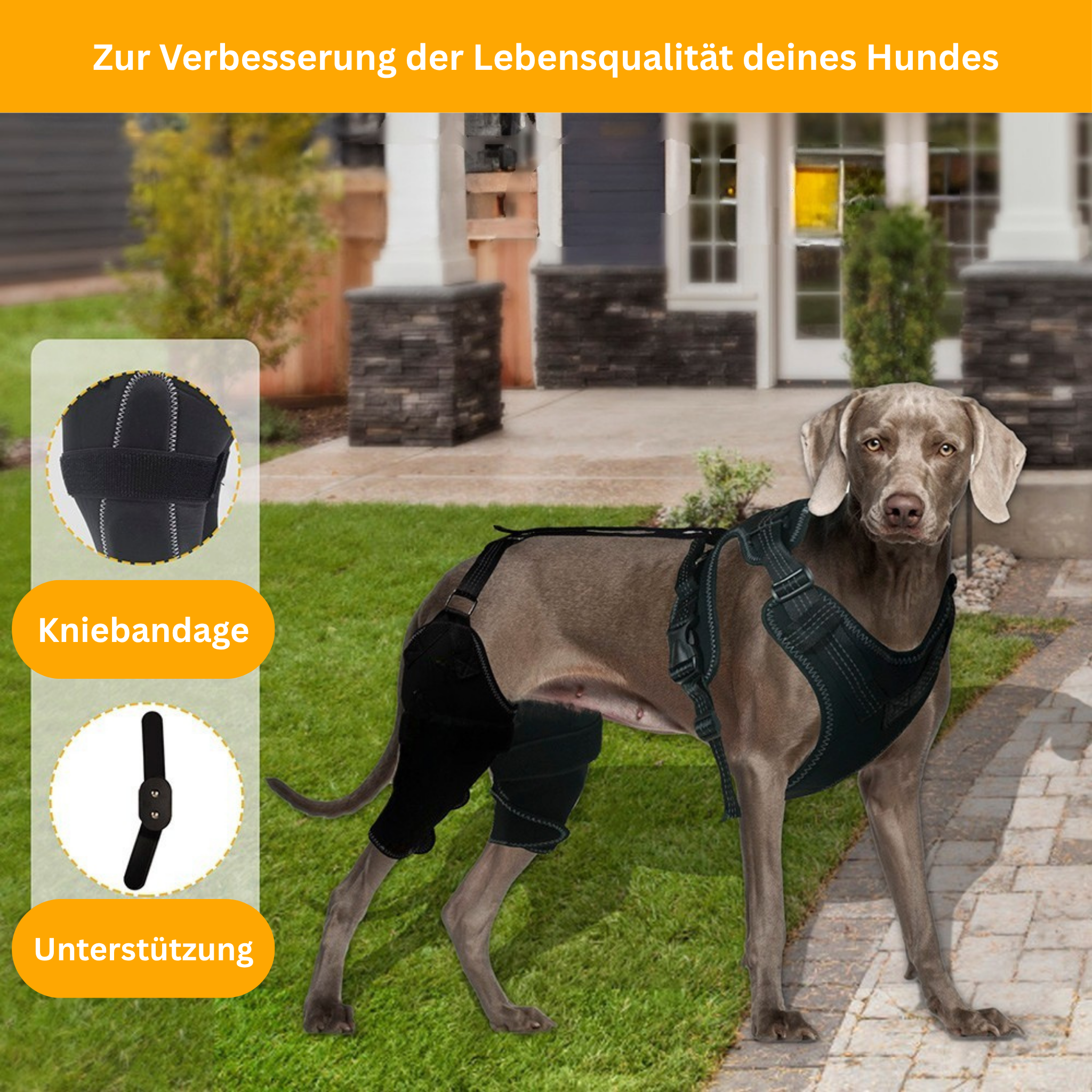 DualBrace – Beinorthese mit Scharniergelenk