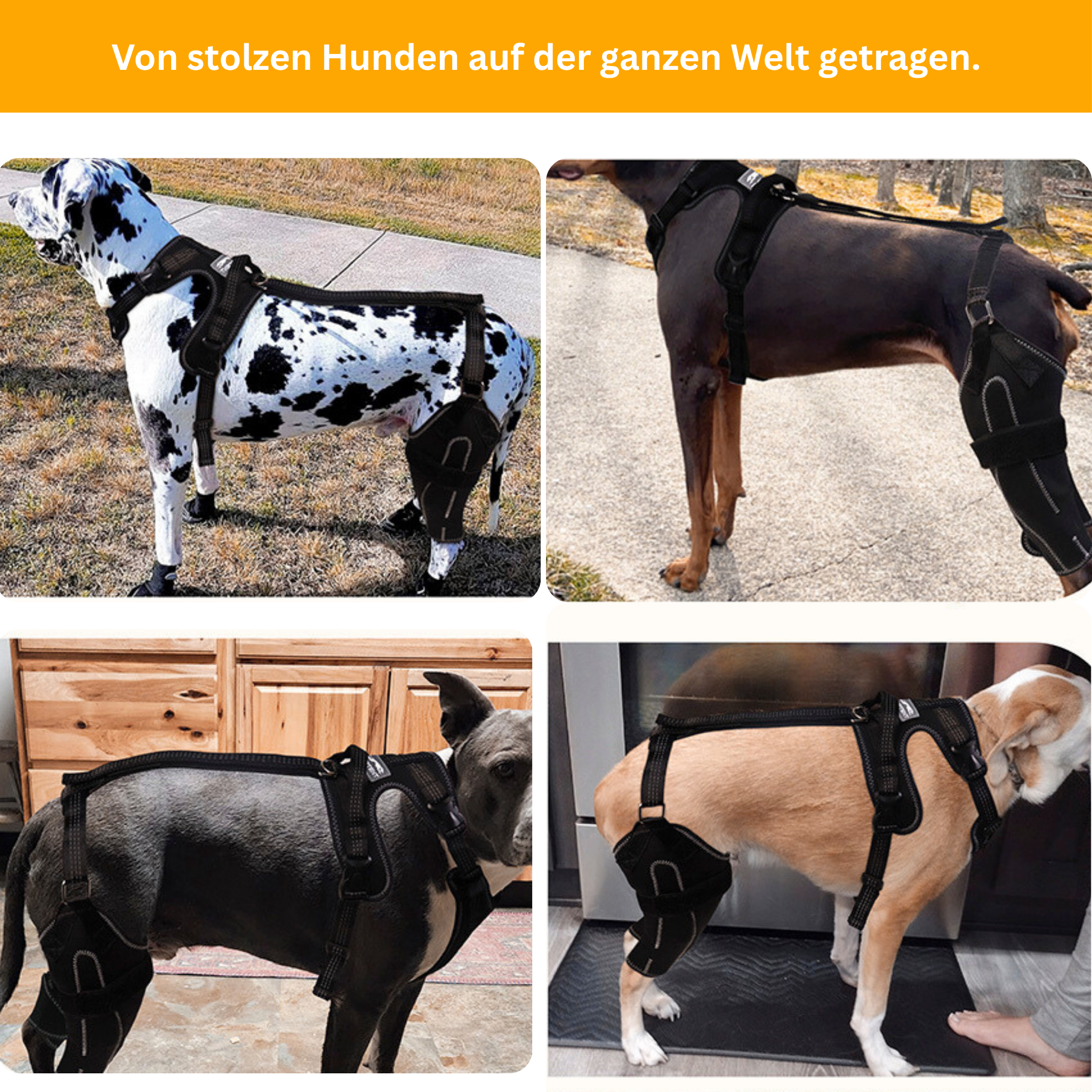 DualBrace – Beinorthese mit Scharniergelenk