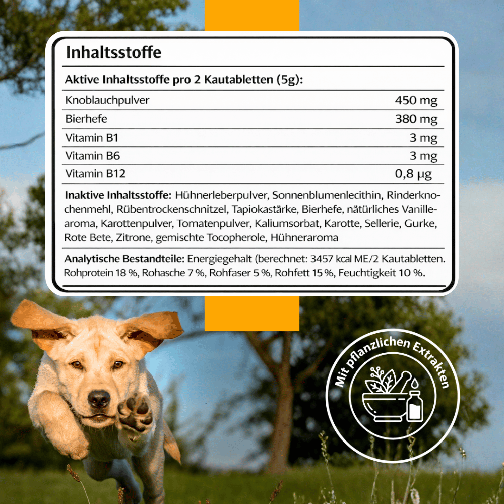 Flea & Tick Protection Chewable Tablets