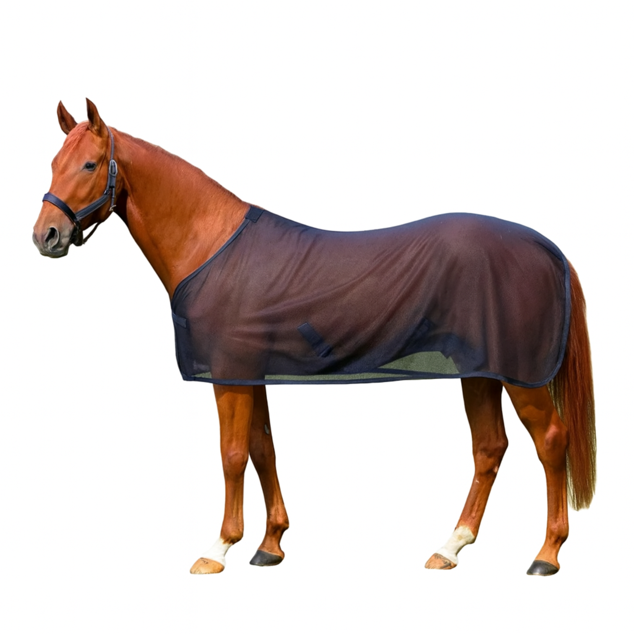 InsectSafe – Verstellbare Schutzweste gegen Mücken & Sonne