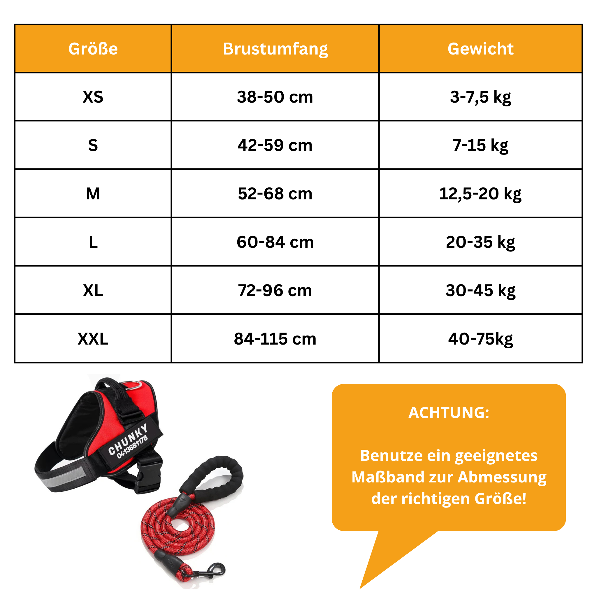 Personalized No-Pull Dog Harness