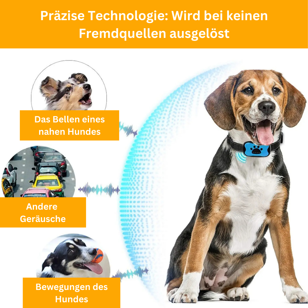 Pet-Friendly Anti-Bark Collar