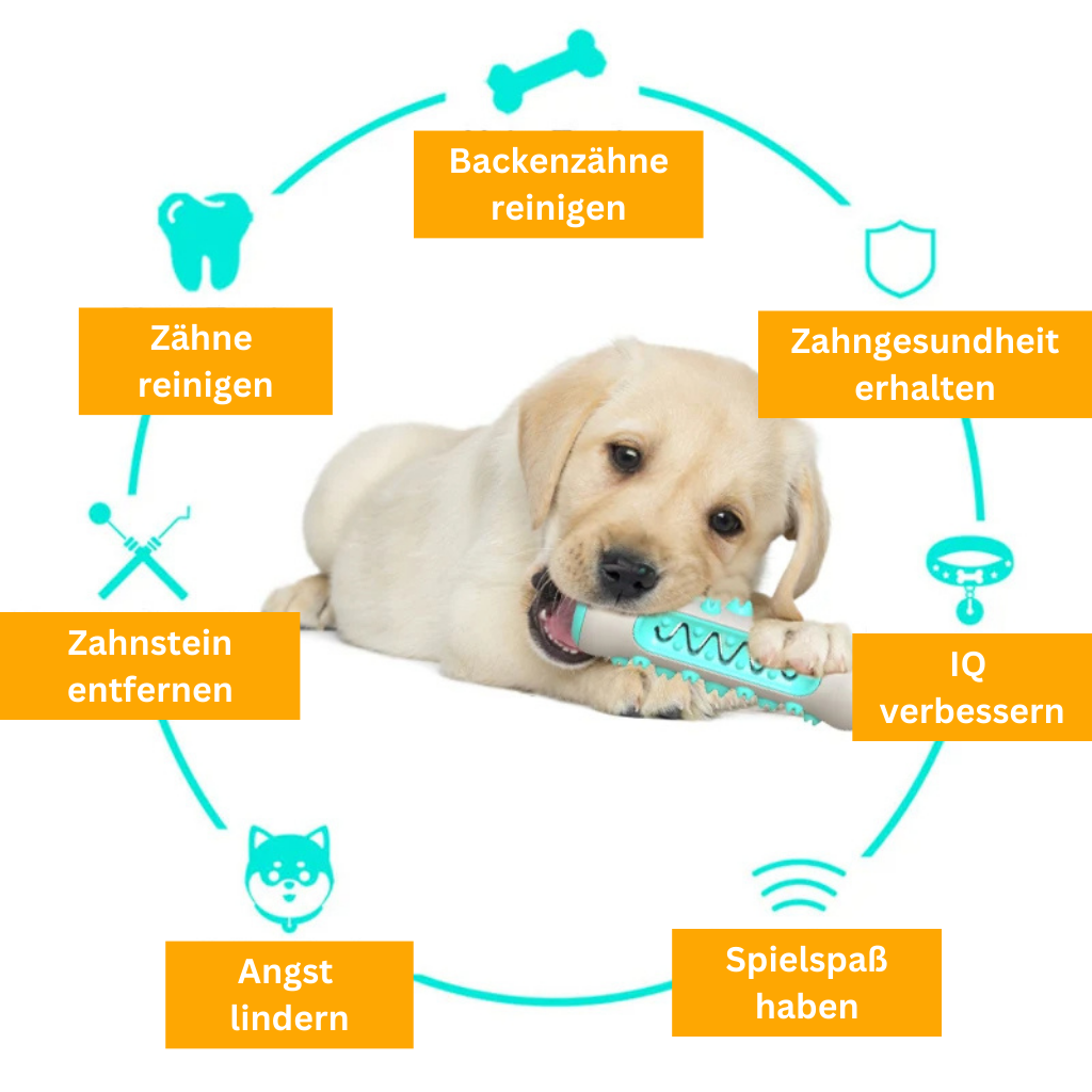 Dog Teeth Whitening – The Indestructible Companion for Clean and Healthy Teeth