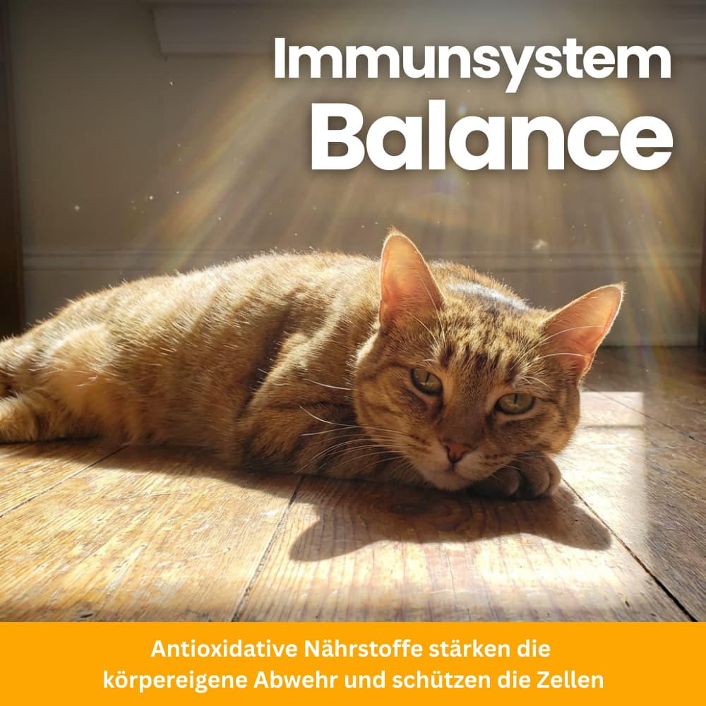 Cat Nutrient Powder for Coat & Skin