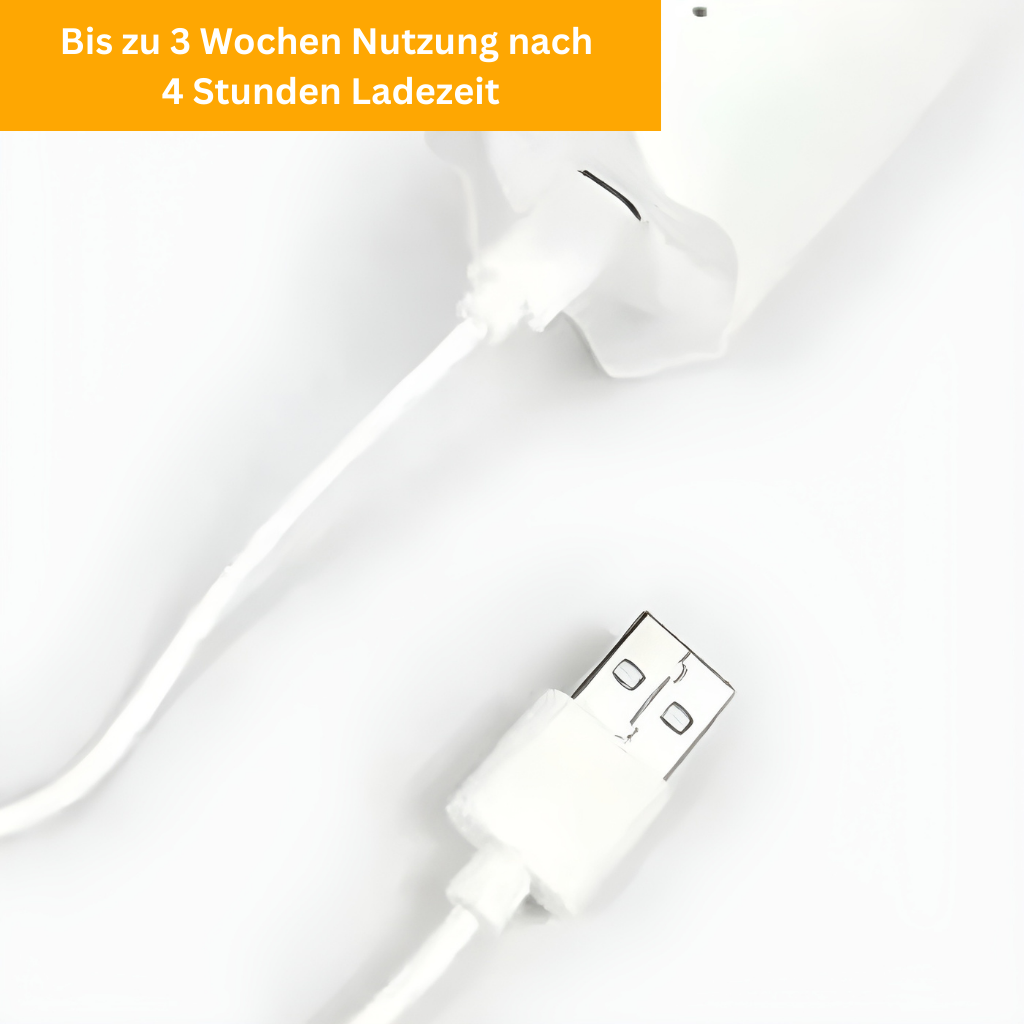 UV Tick Brush for Cats