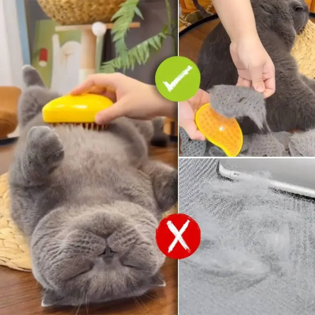 Cat Brush Steamy