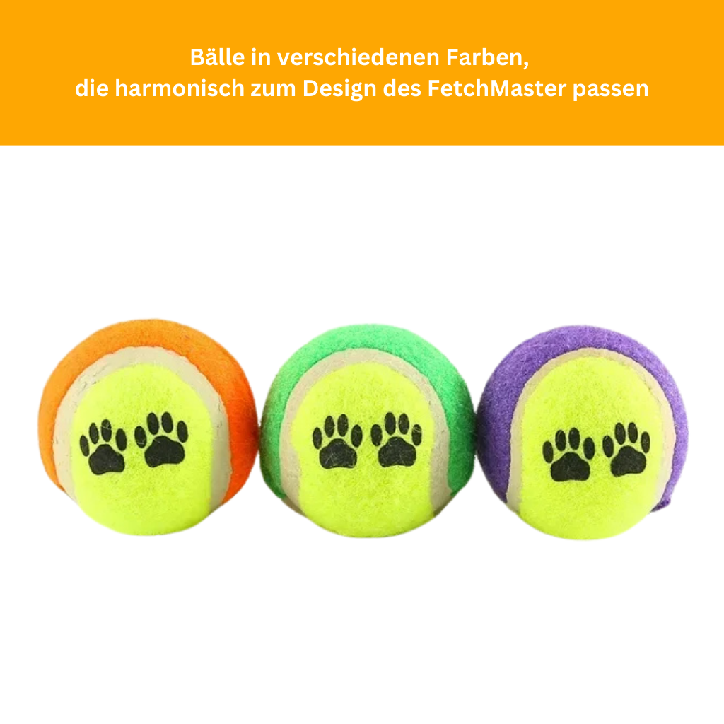 FetchMaster Handballwerfer