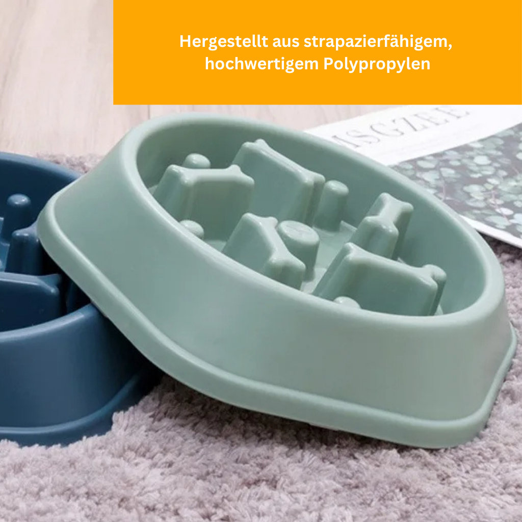 VitalFeeder – Health Bowl