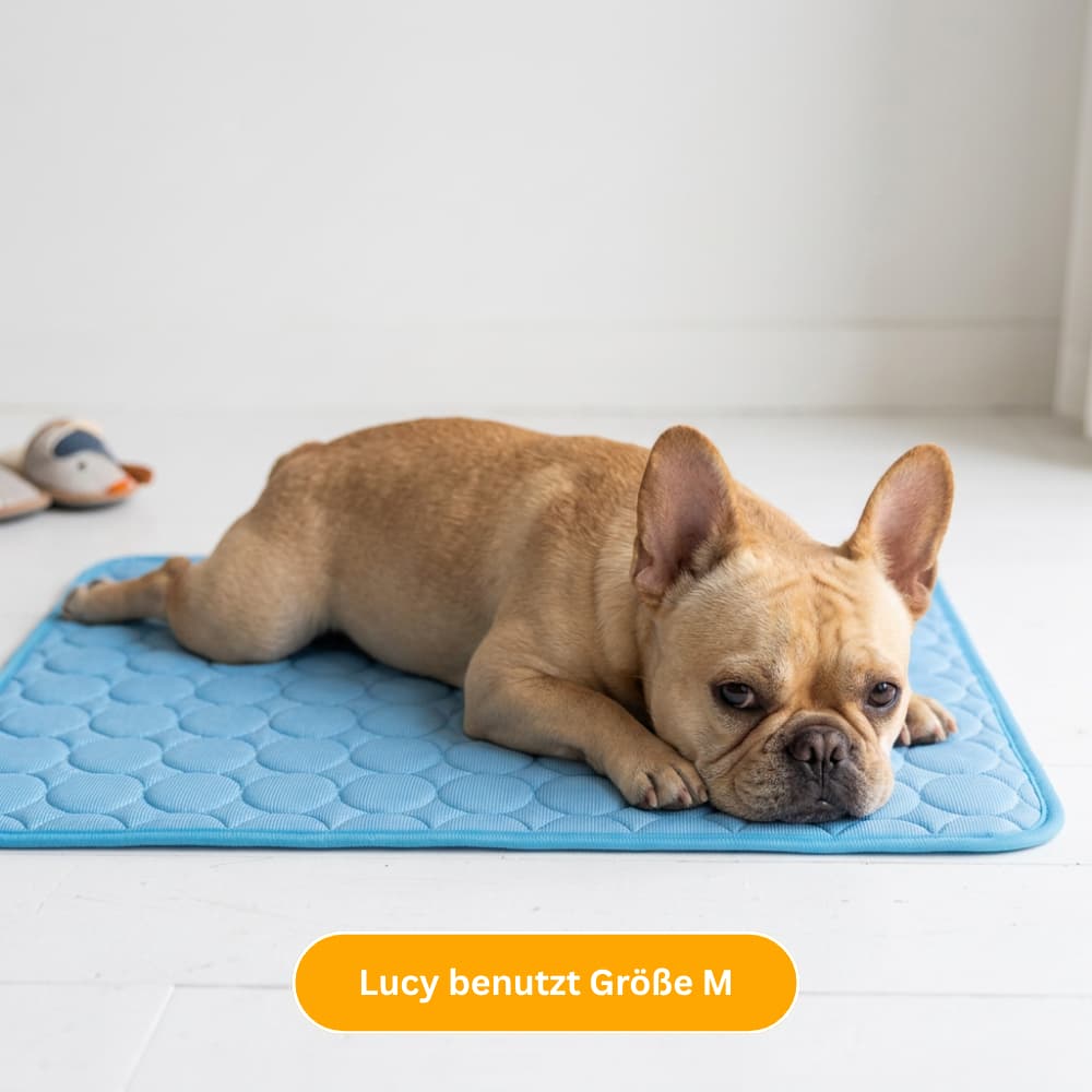 Premium Cooling Mat for Dogs