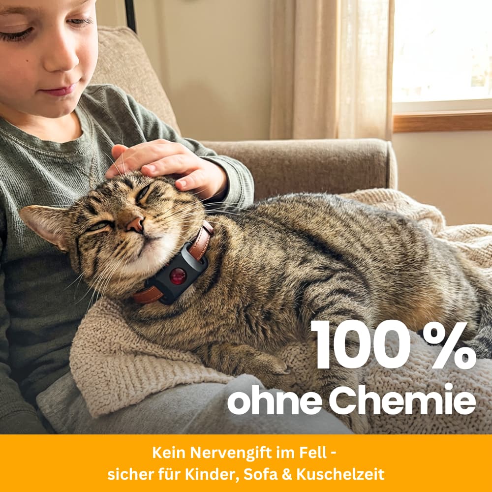 TickGuard Clip – Against Ticks and Fleas for Cats