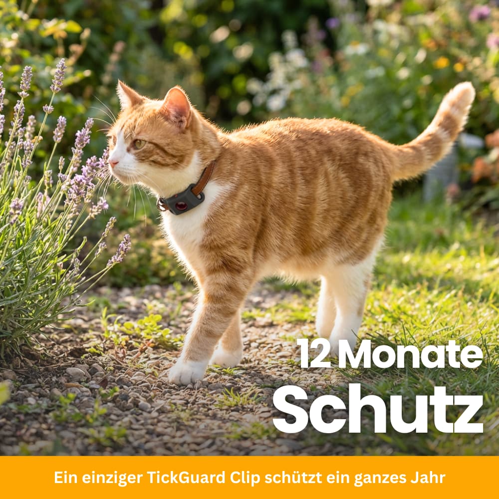 TickGuard Clip – Against Ticks and Fleas for Cats