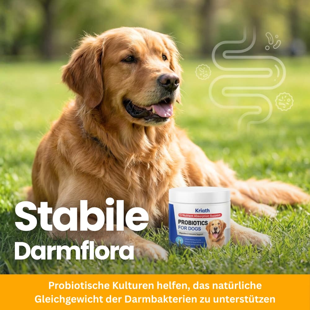 Probiotic Soft Pellets for Dogs & Puppies
