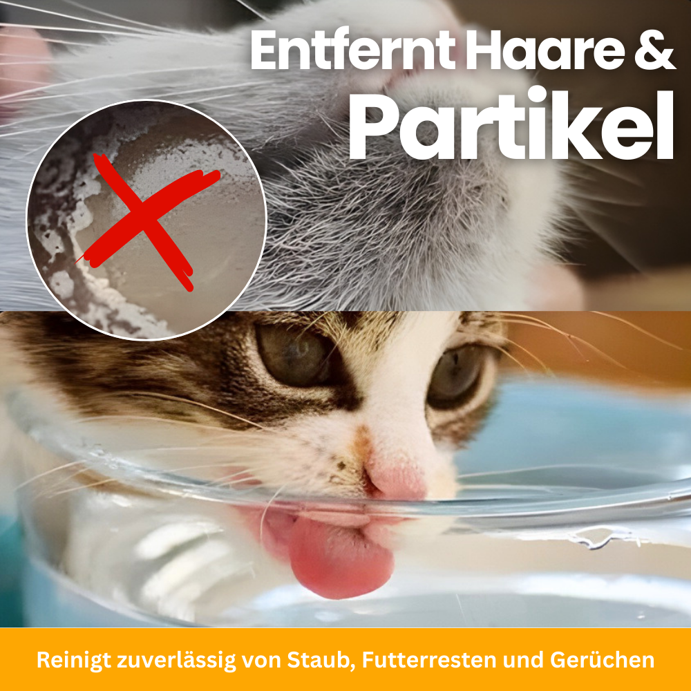 MeowDrink Replacement Filters – 10 Pack