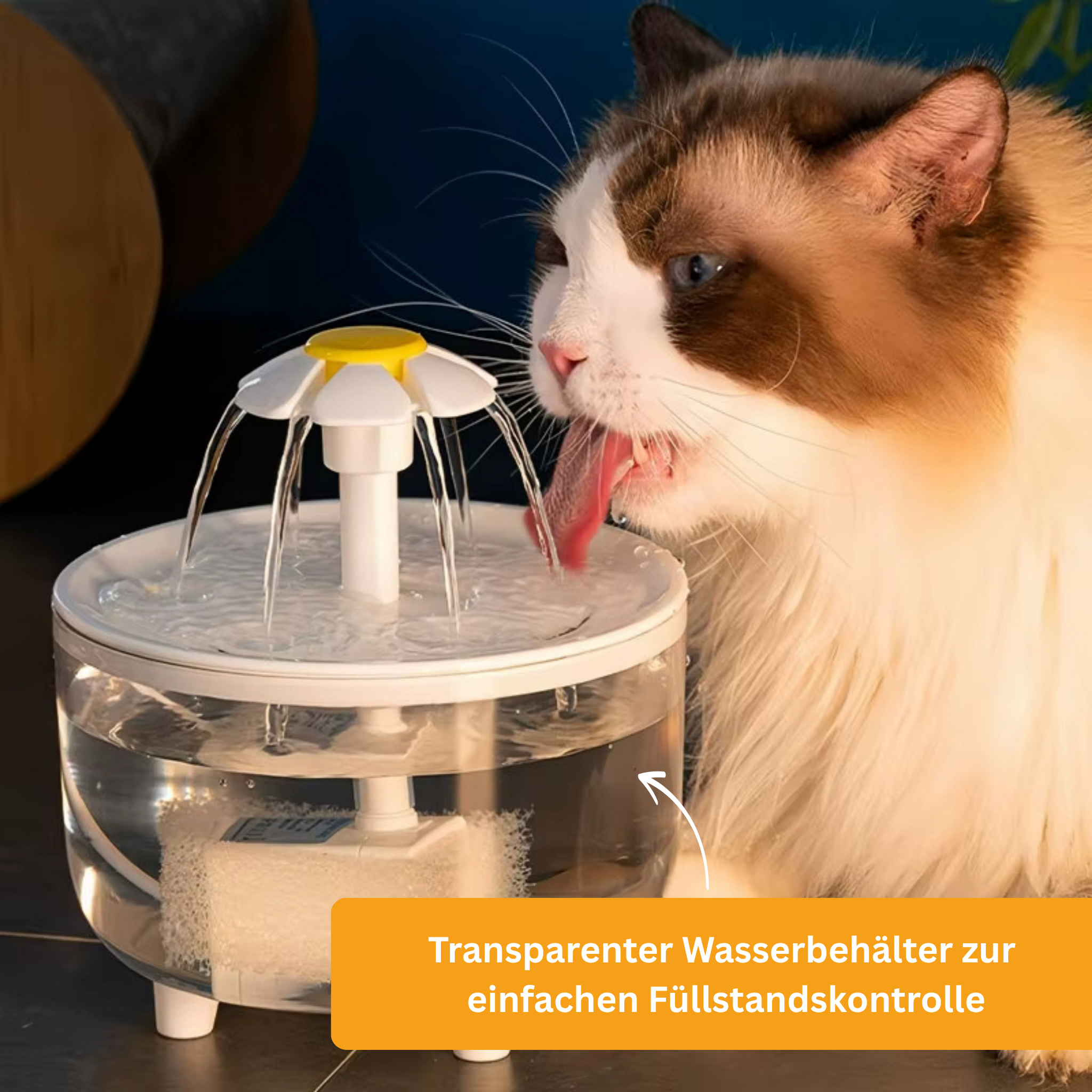 CatFountain – The Cat Fountain