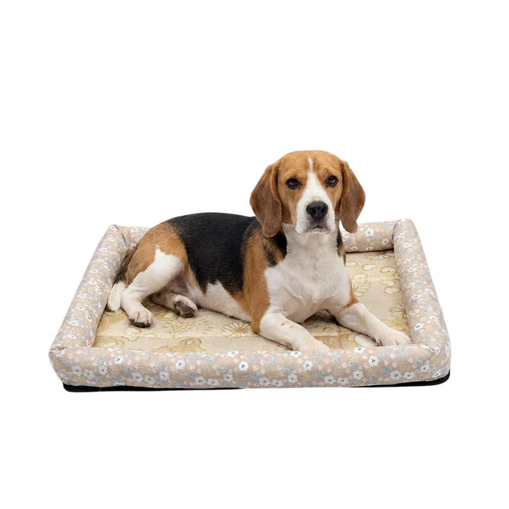 CoolBed – Dog Cooling Bed