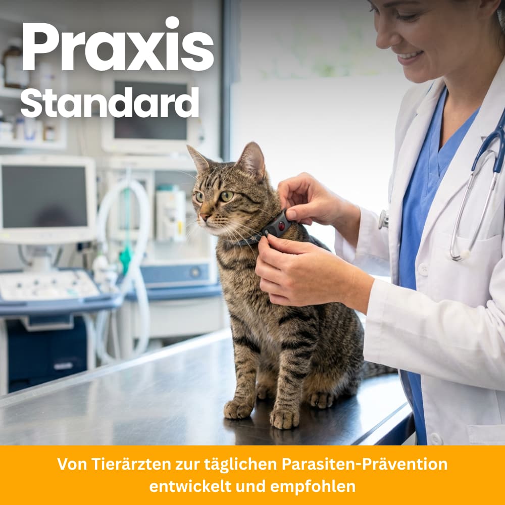 TickGuard Clip – Against Ticks and Fleas for Cats