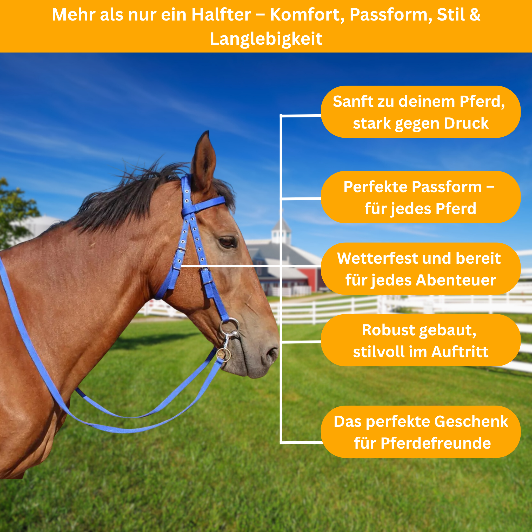 SoftLead – Padded Comfort Halter for Horses