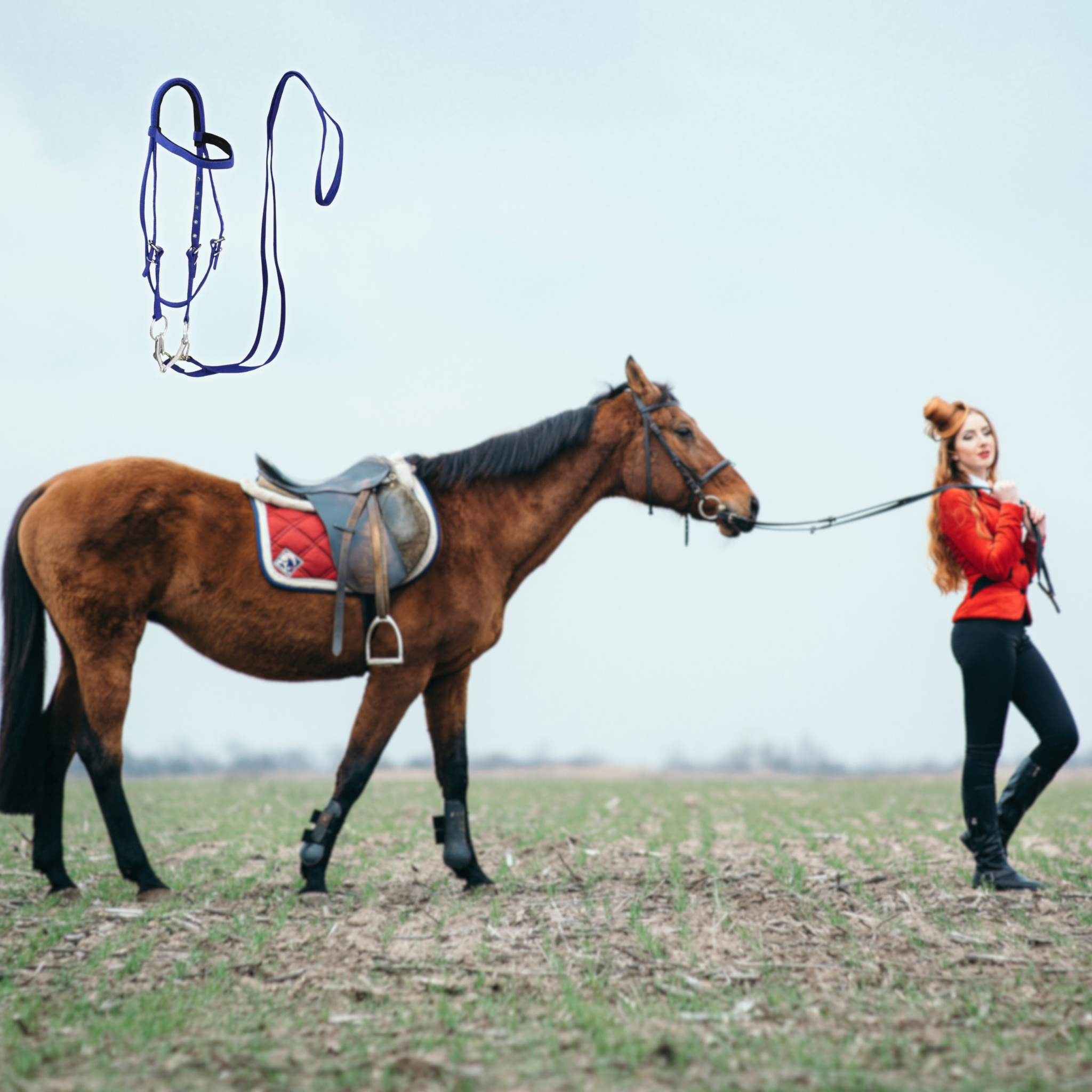 SoftLead – Padded Comfort Halter for Horses