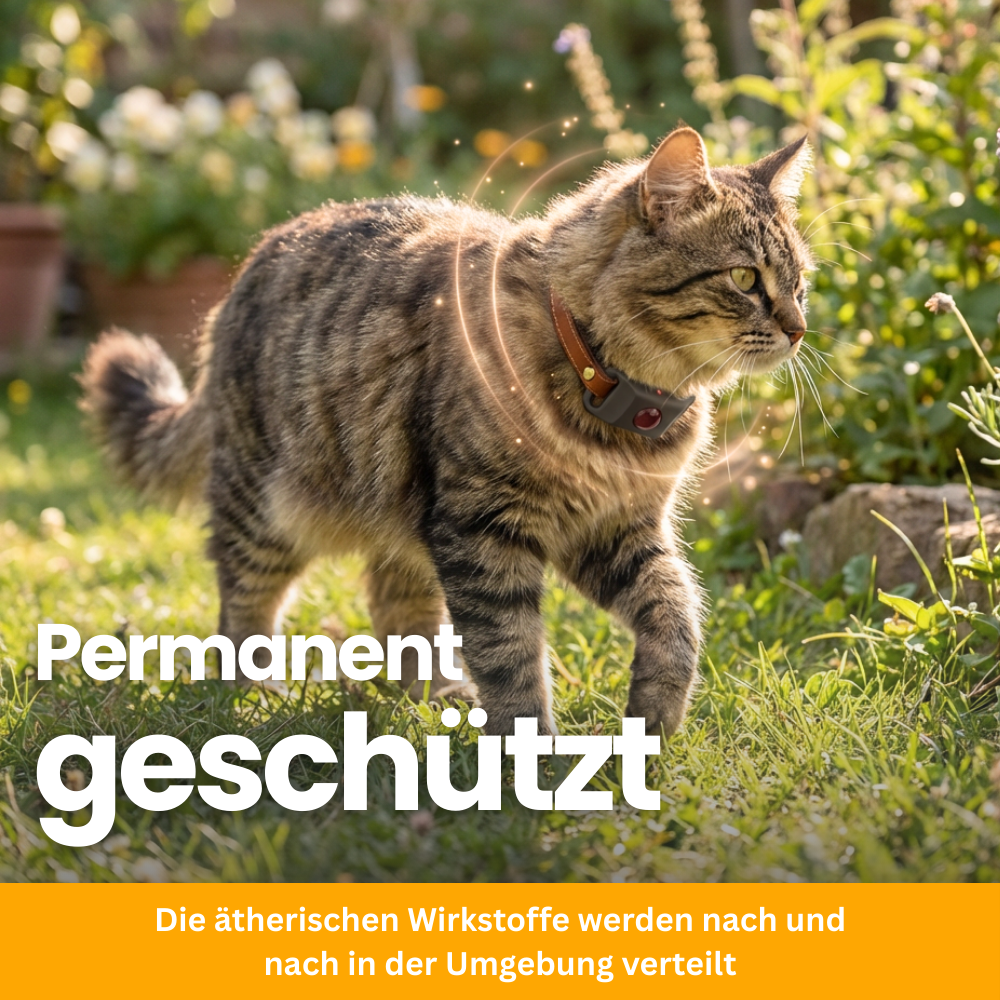 TickGuard Clip – Against Ticks and Fleas for Cats