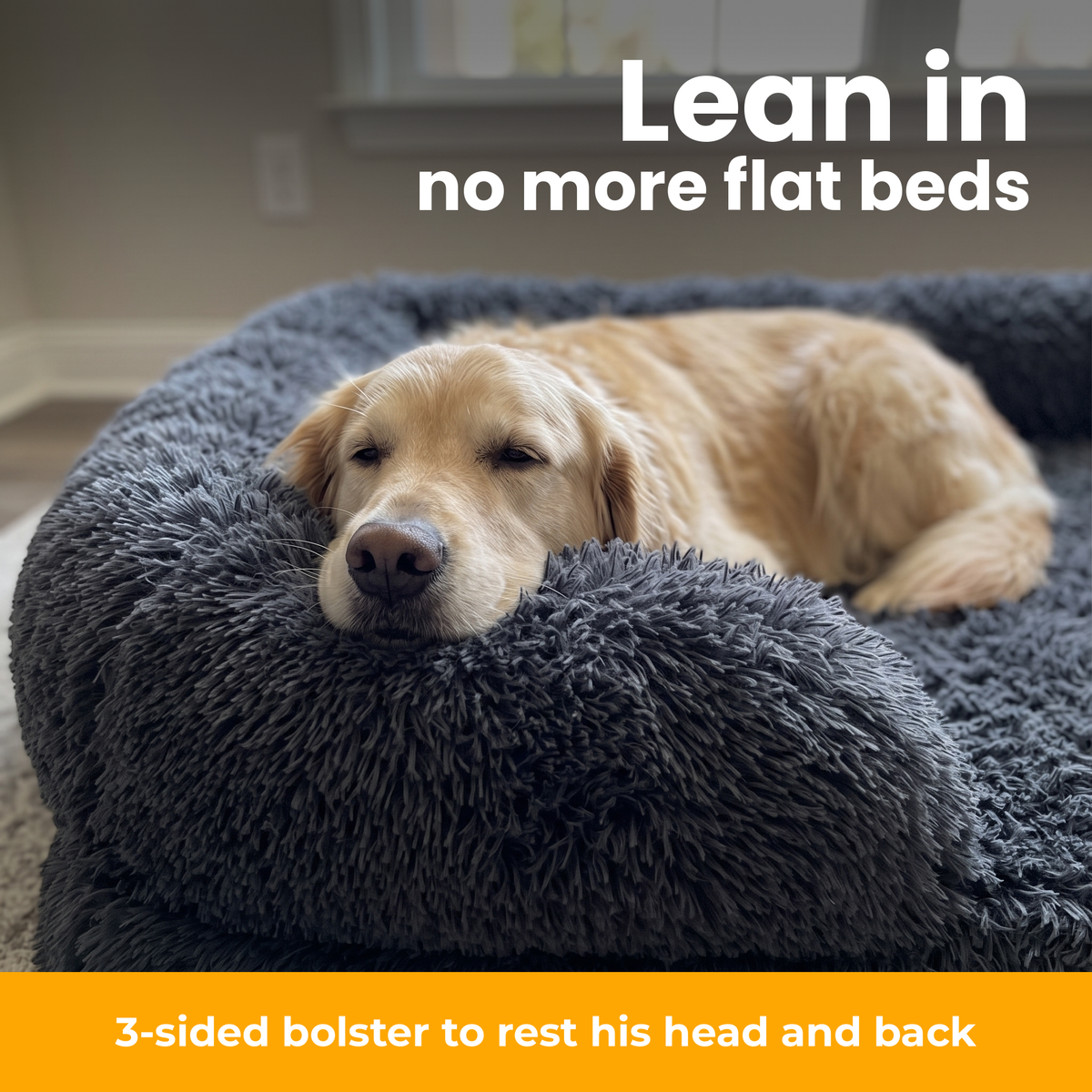 [en] CloudCouch – Dog resting its head on the CloudCouch bolster