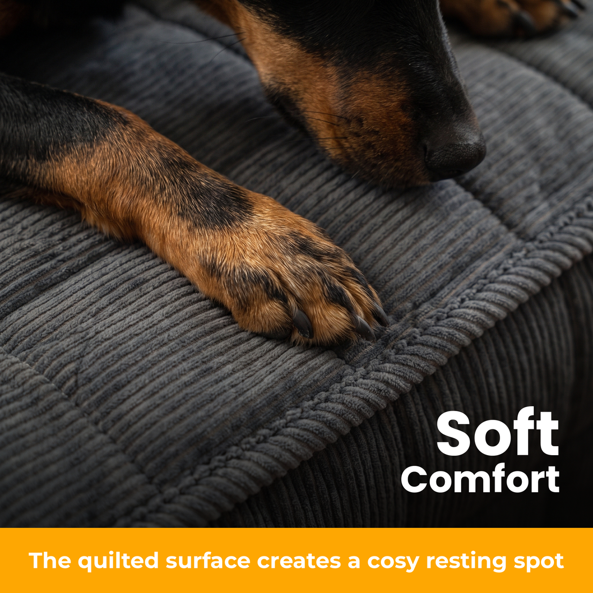 [en] CouchSafe – soft comfort