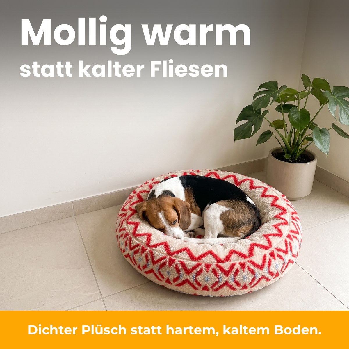 [de] CozyRing – Beagle schläft im Ethno-Rot-Bett in einer ruhigen Ecke neben einer Pflanze