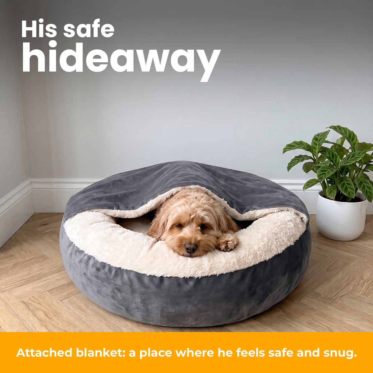 [en] CuddleCave – Cavapoo lying under the attached blanket in its cosy den